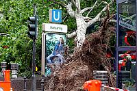 Baum fällt auf U-Bahnabgang am Hansaring
