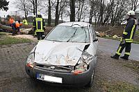 Sturm in Köln - Autofahrer von Baum getroffen