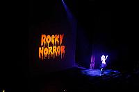 Rocky horror Show 2015 CSD 0907201528