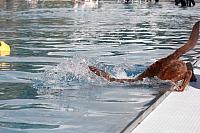 hundeschwimmen 19092015 42